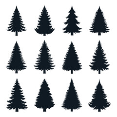 A collection of twelve distinct silhouettes of evergreen coniferous trees, presented in a grid format.
