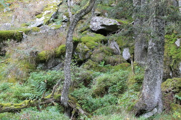 2025 - Lac de Gaube / Pont d´Espagne - Cauterets