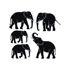 Elephant Silhouette Pack Vector – Collection of Black Elephant Animal Shapes for Logo, Decoration, and Wildlife Design
