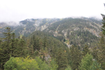 2025 - Lac de Gaube / Pont d´Espagne - Cauterets