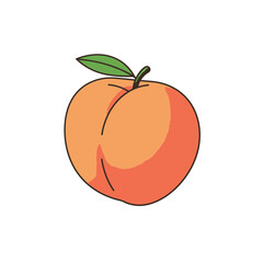 Single Peach with Leaf Illustration