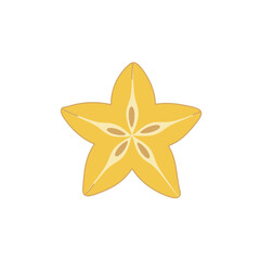 Yellow Starfruit Slice Illustration