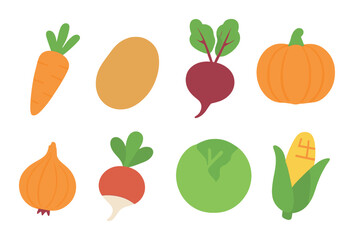 Colorful assorted vegetables with carrot potato beet pumpkin corn onion