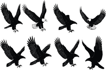 Bald eagle flying silhouette vector set, detailed eagle illustrations, bird of prey clipart collection, wildlife raptor graphic design pack