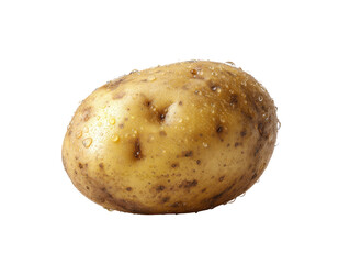 Single potato, light brown/tan skin, slightly irregular shape, covered in water droplets and small brown spots