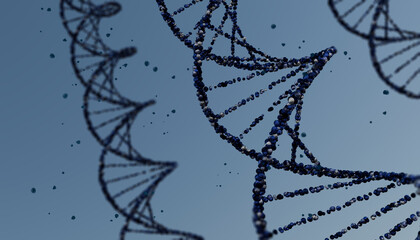 A 3D illustration of several DNA double helix strands with a shallow depth of field.For science articles, medical websites, biotech presentations, or educational content.