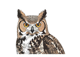 Obraz premium Great horned owl standing with a minimalist background for illustration concept 