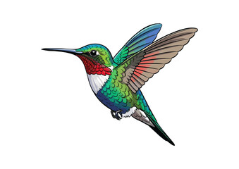 Obraz premium Colorful hummingbird in mid-flight with a minimalist background for illustration concept
