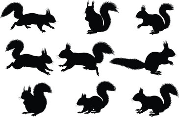 Silhouette of squirrels in various poses, wildlife animals, nature, forest creatures, rodent collection, black shapes, animal behavior, outdoor, fauna, woodland