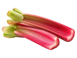 Two pieces of vibrant pink rhubarb, cut lengthwise, displaying a pale green stem at the top