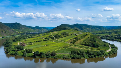 Wine region of the Mosel Valley. Wine tourism Cochem, Rhineland-Palatinate, Germany August 2, 2025