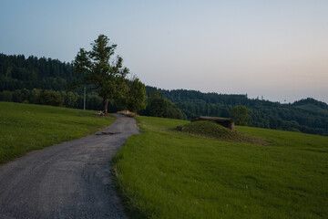 Obraz premium mountain landscape with a road