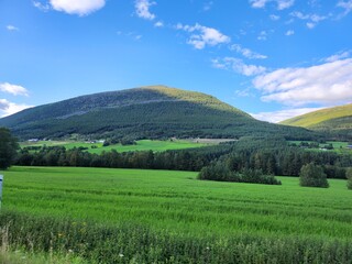 Fototapeta premium Norge