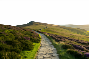 Stone path winding through grassy hills isolated on white background