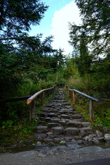 Stone pathway with wooden railings leading upward through lush green forest, creating rustic and natural hiking trail.