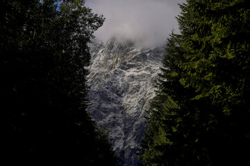 Snow-covered rocky peaks rising behind dense evergreen trees, partially hidden by misty clouds in dramatic mountain scenery.