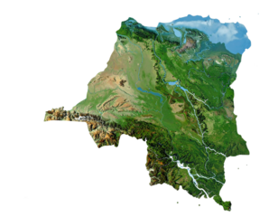 Realistic Watercolor D.R. Congo Map with River and Forest Tones PNG  (2)