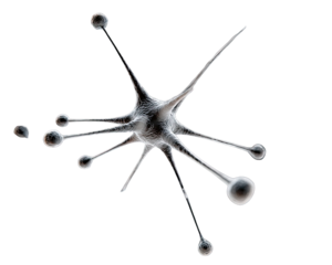 3D rendering of a neuron.  Complex structure