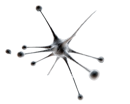 3D rendering of a neuron.  Complex structure