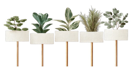 Five plant markers with blank signs