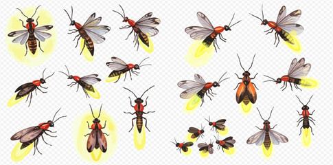 A collection of beautifully illustrated fireflies and lightning bugs in various poses, showcasing their magical bioluminescent glow.