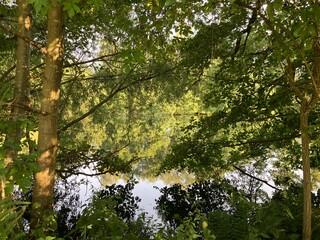 Abendstimmung in den Ruhrauen in Fröndenberg an der Ruhr