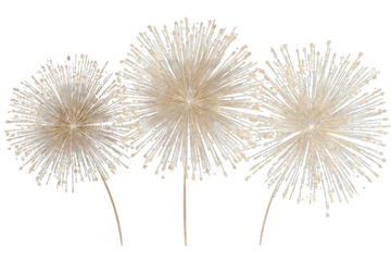 Three light beige decorative  fan-shaped objects