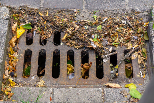 Clogged storm drain with iron grate covered by leaves and branches. Urban infrastructure issue, autumn, drainage problem, road maintenance, rainwater, city environment