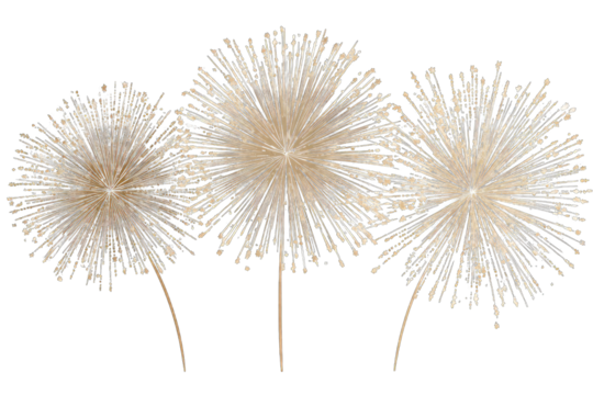 Three light beige decorative  fan-shaped objects