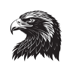 eagle vector silhouette outline sketch logo illustration