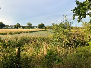 Naklejka premium Abendstimmung in den Ruhrauen in Fröndenberg an der Ruhr