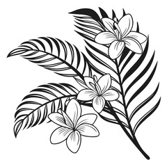 Tropical leaves and flowers, black and white coloring book style