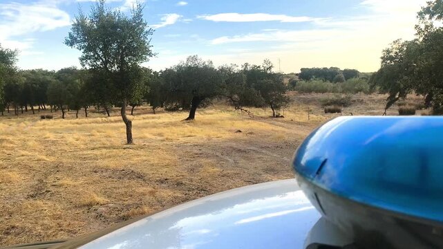 Vigilancia policial en campo rural 