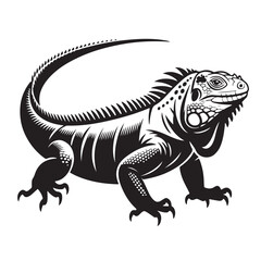 Obraz premium Black and white illustration of iguana lizard reptile with tail