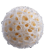 A delicate, textured sphere