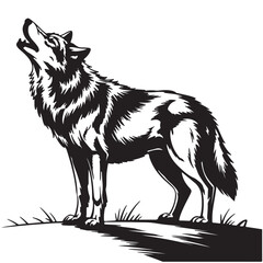 Detailed silhouette of howling wolf standing on grass in wild