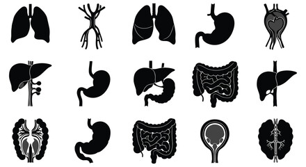 human organs icons showing lungs stomach liver intestines