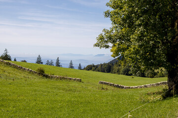 Weissenstein, Solothurn, Switzerland, September 2025