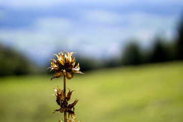Weissenstein, Solothurn, Switzerland, September 2025