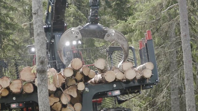 Forwarder loading wood.