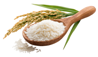 Wooden spoon filled with white rice, with rice grains scattered and rice stalks above