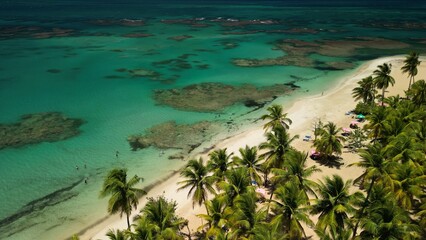 Aerial drone photo of Playa Punta Popy — tropical palms, bright turquoise sea, and beach paradise...