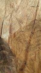Natural Wood Grain Textures Rustic Patterns Organic Beauty