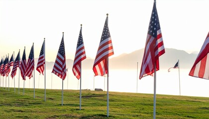 "American flags lined up on a grassy field in a sunlit park, fluttering gently in the breeze to honor national pride."