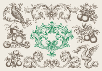 Floral decorative vector elements set, rococo and baroque style, vintage royal details. engraving illustration set