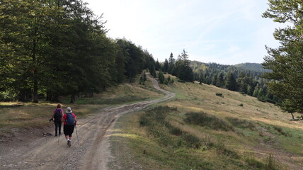 Fototapeta premium hiking in the mountains