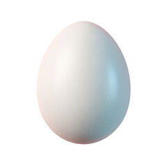A smooth, glossy, white egg