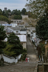 Fototapeta premium Kitsuki Castle in Kyushu, Japan