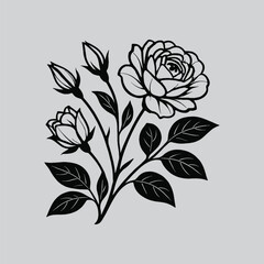 Rose Classic Black and White