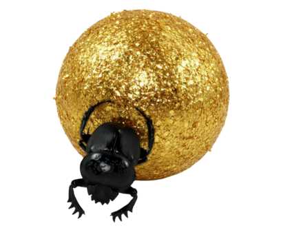 Scarabaeus beetle diligently rolls a golden ball across a transparent surface in a remarkable display of strength and determination